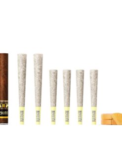 Luigi Fattone Banana Gelato Pack