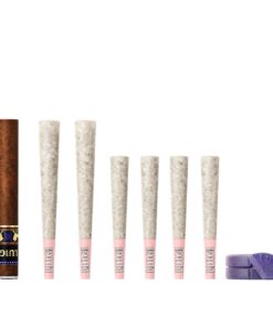 Luigi Fattone Blackberry Dream Packs