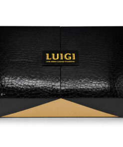Luigi Series 5 Master Box