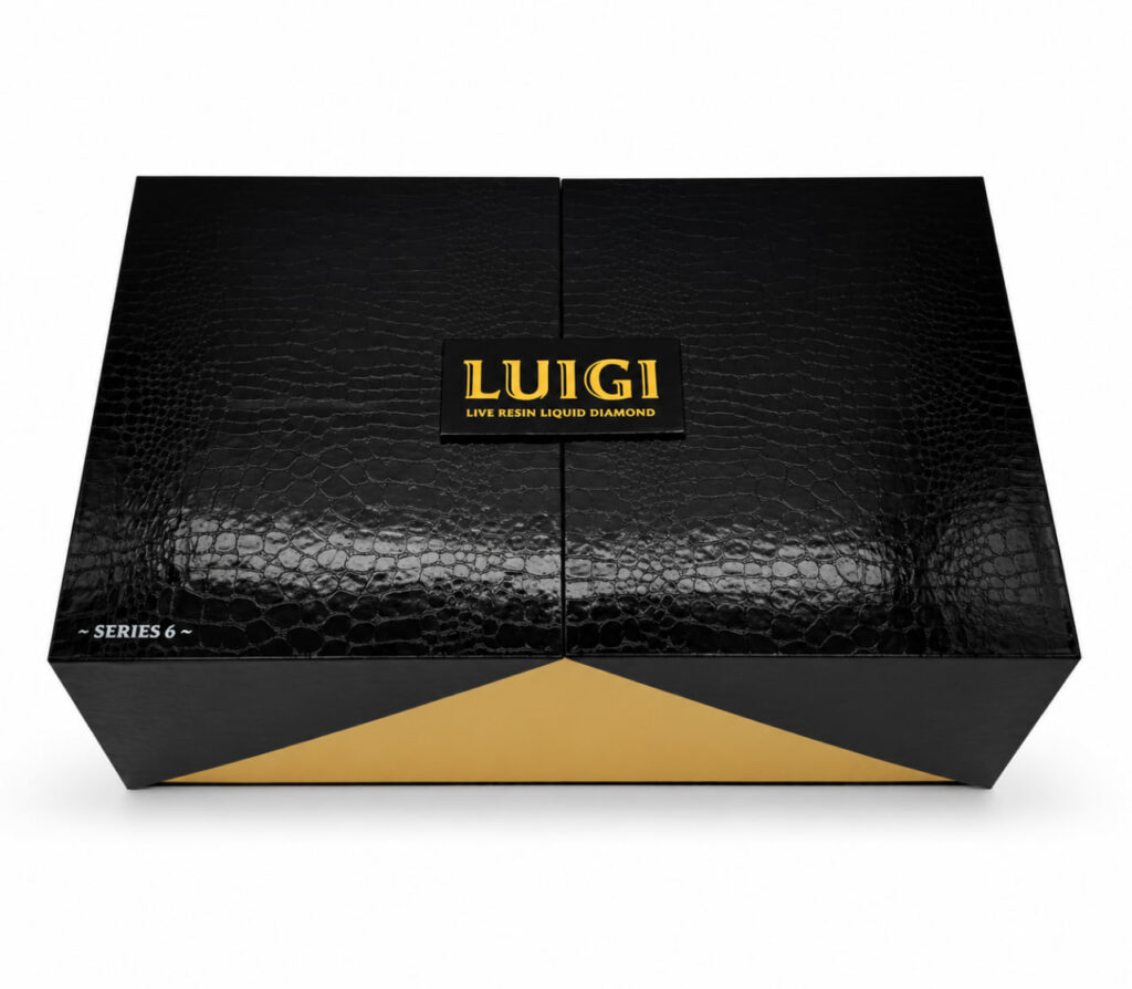 Luigi Series 6 Master Box