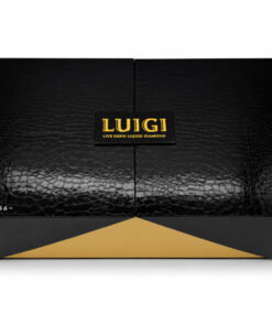 Luigi Series 6 Master Box
