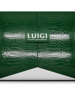 Luigi Series 8 Master Box